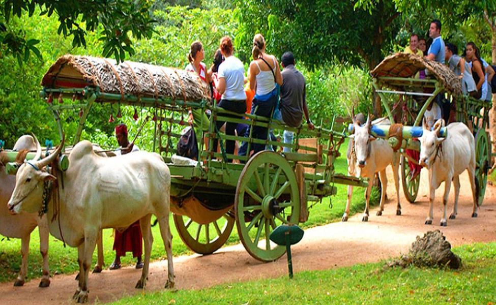 Hidden Lake Cottages Sigiriya Exterior foto